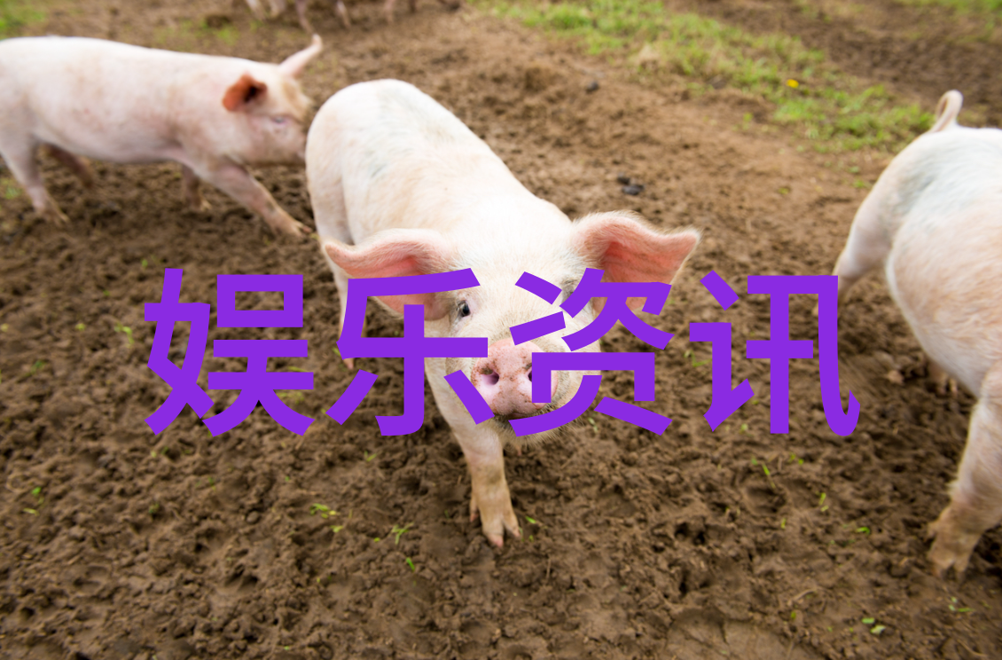 在东北你可以通过什么方式快速成名