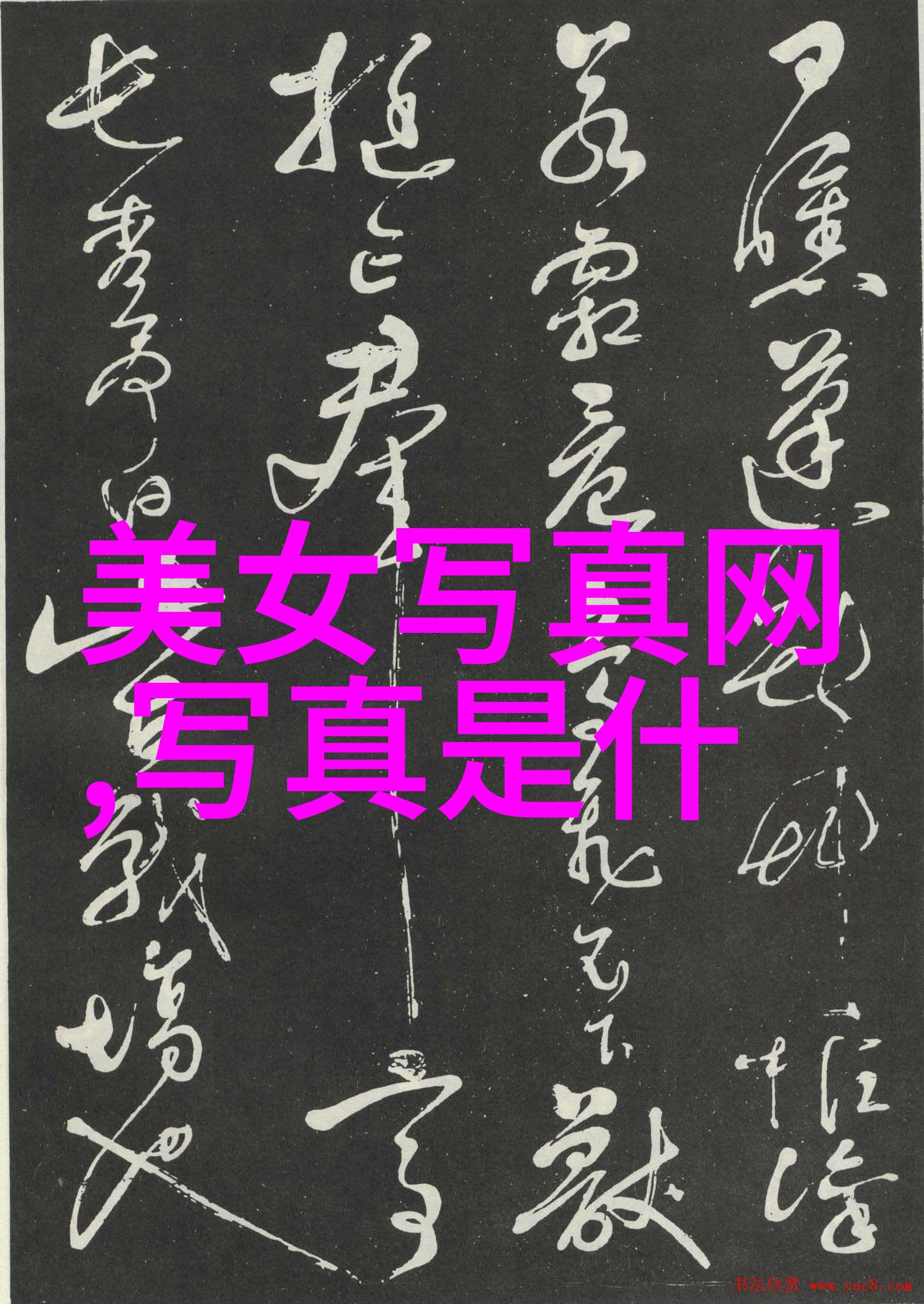 主题 - 月光下的银幕探索免费视频的艺术与魅力