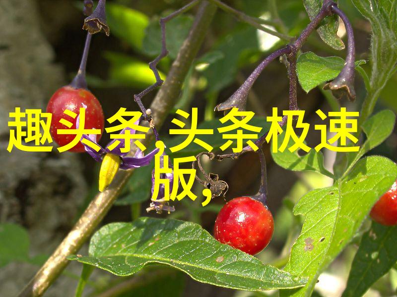 音乐之翼酷我下载的魔力