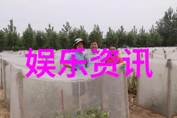摇滚回忆百首经典老歌的时光旅行