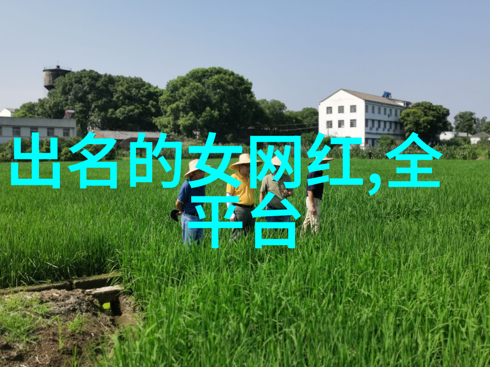 杨幂写真时尚魅力与明星光芒的双重奏鸣