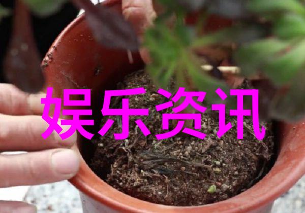 静默的旋律舒淇与时间的对话