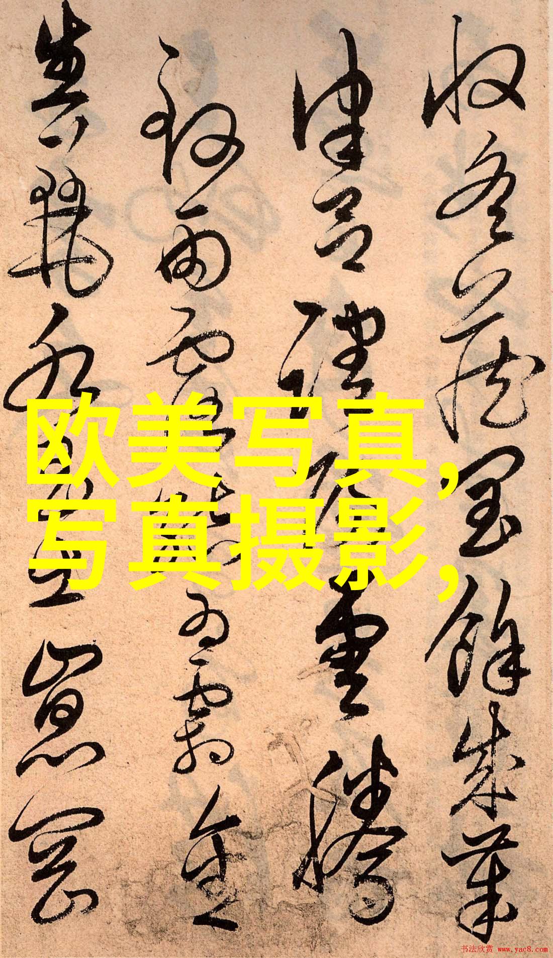 把握流行趋势探秘抖音十大歌曲背后的故事