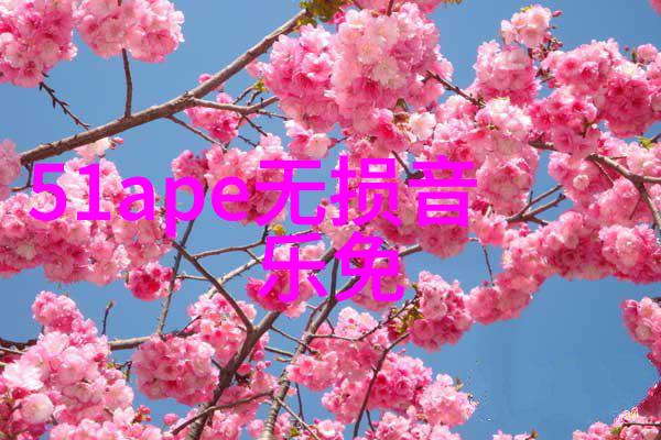 民间盖房用的八卦图之谜解开古老建筑智慧的秘密吗
