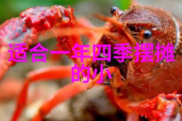 电影院的秘密之窗藏在银幕背后的真相是什么