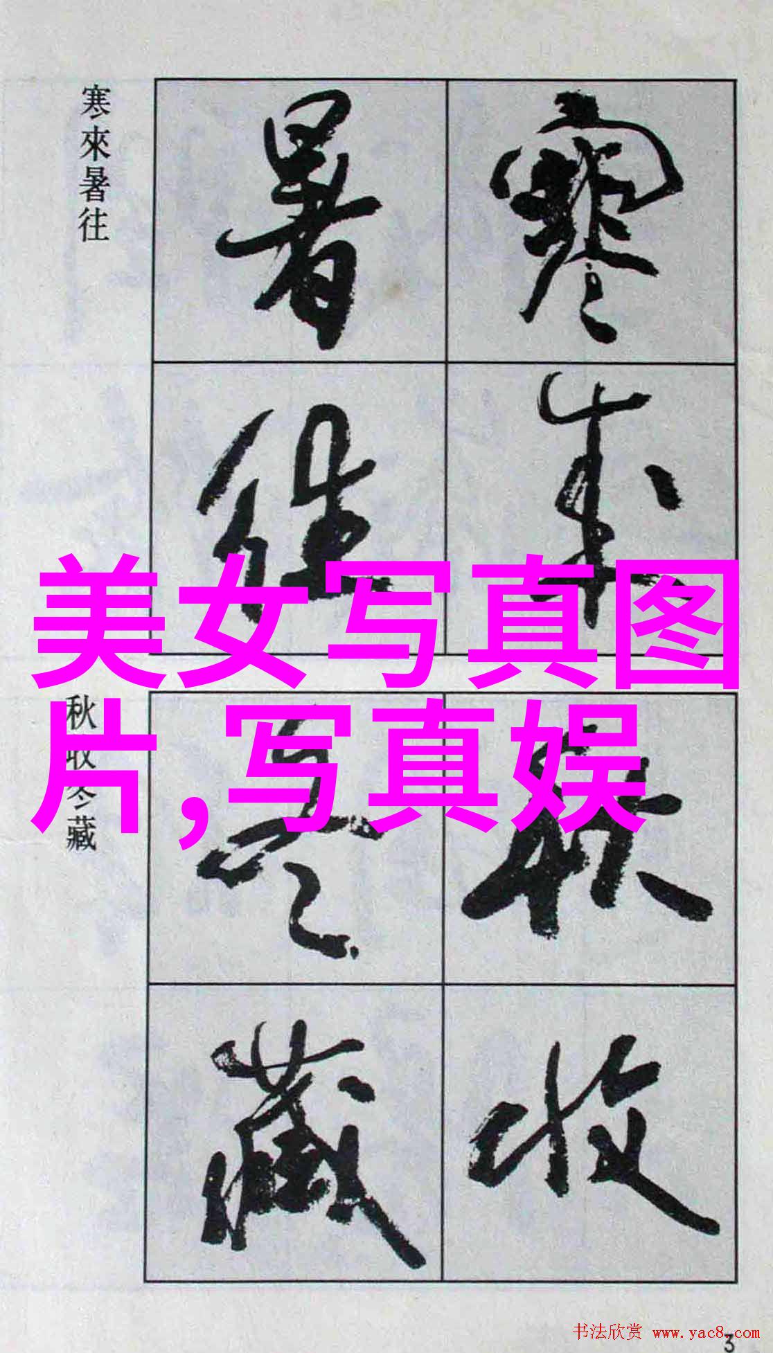 纯音乐大全100首音符中的诗篇