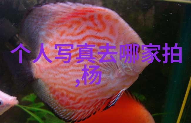 时尚健康追求精致生活的艺术与科技