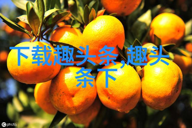 电影之镜伦理探索的银幕舞台