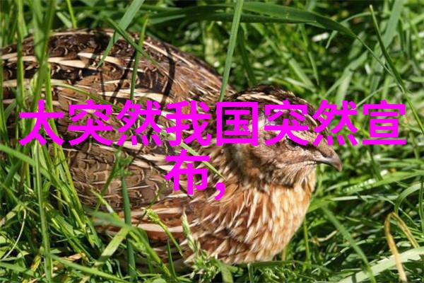 郑秀晶的出道年龄一个谜题她个人资料简介却又是解密黄晓明和angelababy的离婚消息让人不禁反复思