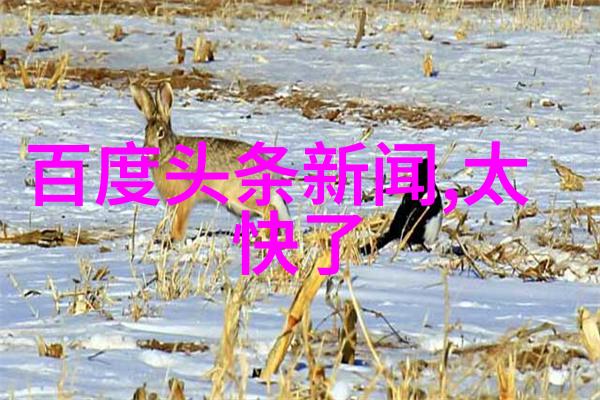 后天八卦运用技巧解锁命运之门的秘密