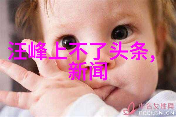 赵丽颖的421页吃瓜文件幕后揭秘与公众形象的交织