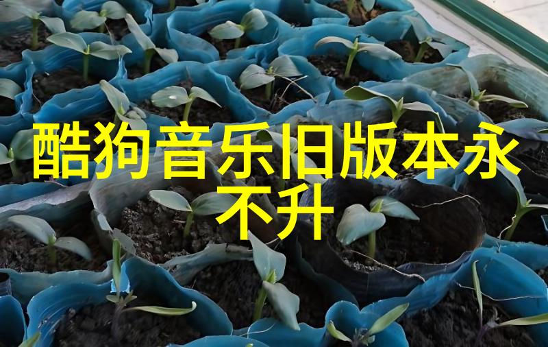 冬日寒冷中绽放的生机勃勃