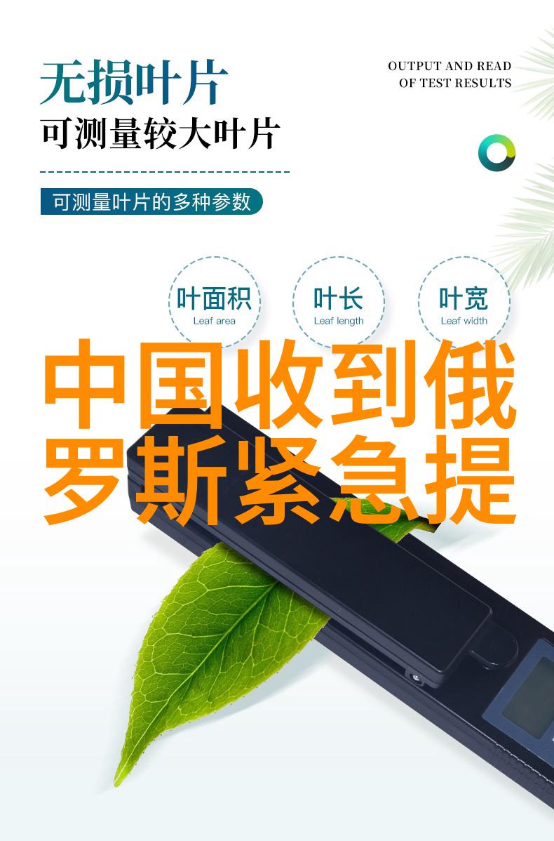 揭秘命运之轮八字命盘的神秘力量如何影响我们的生活轨迹