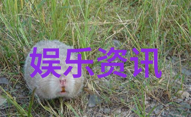 八卦中的三重象征阴阳交织的智慧