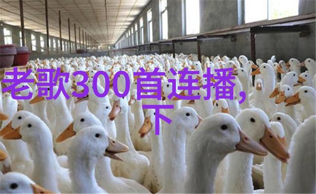 温暖少女感杨旭文新年写真笑容如春日阳光