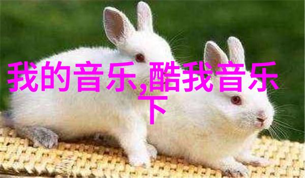 电影回顾莫斯科行动的历史背景与影响力分析