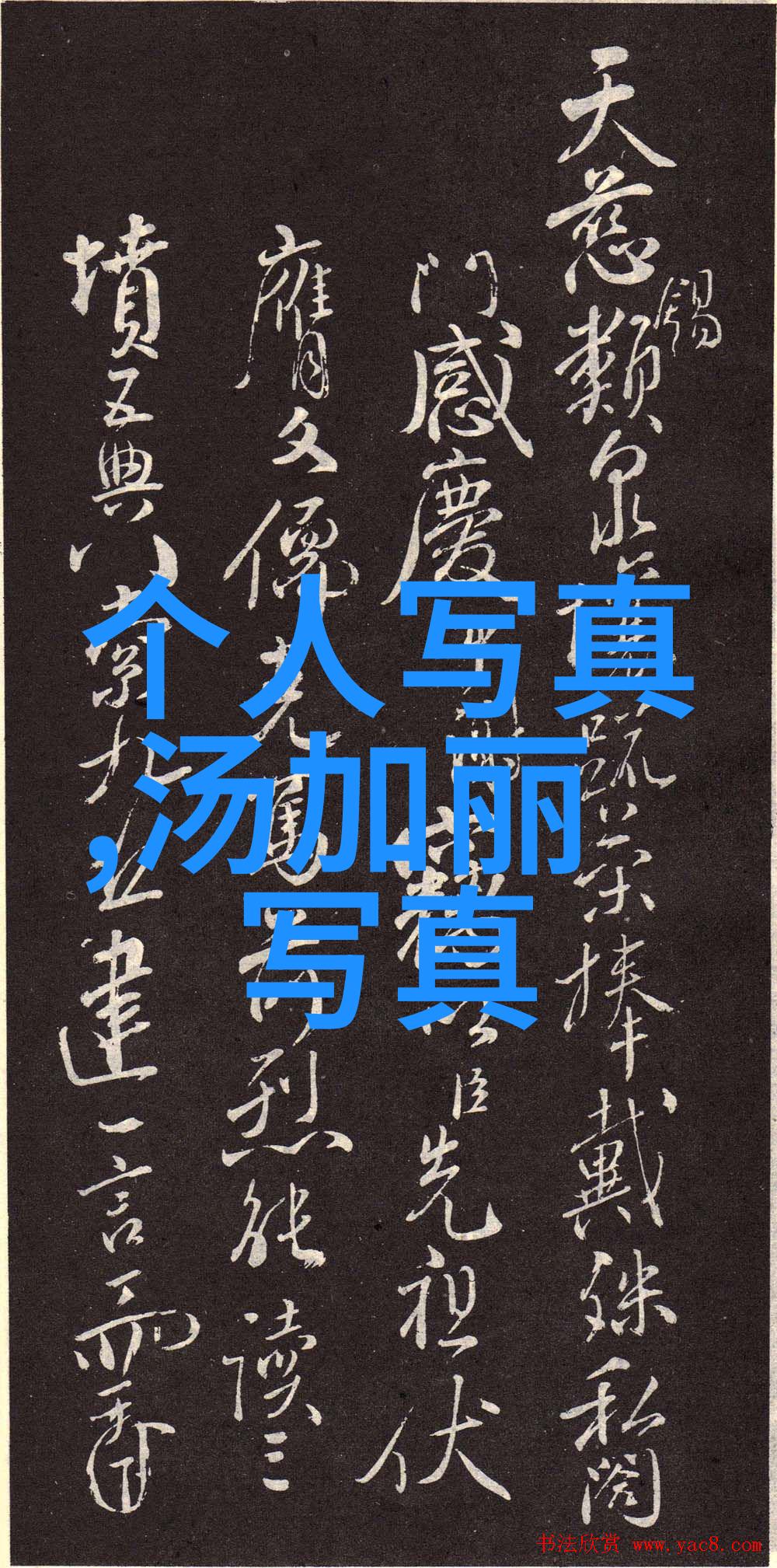 月光下的旋律守护者