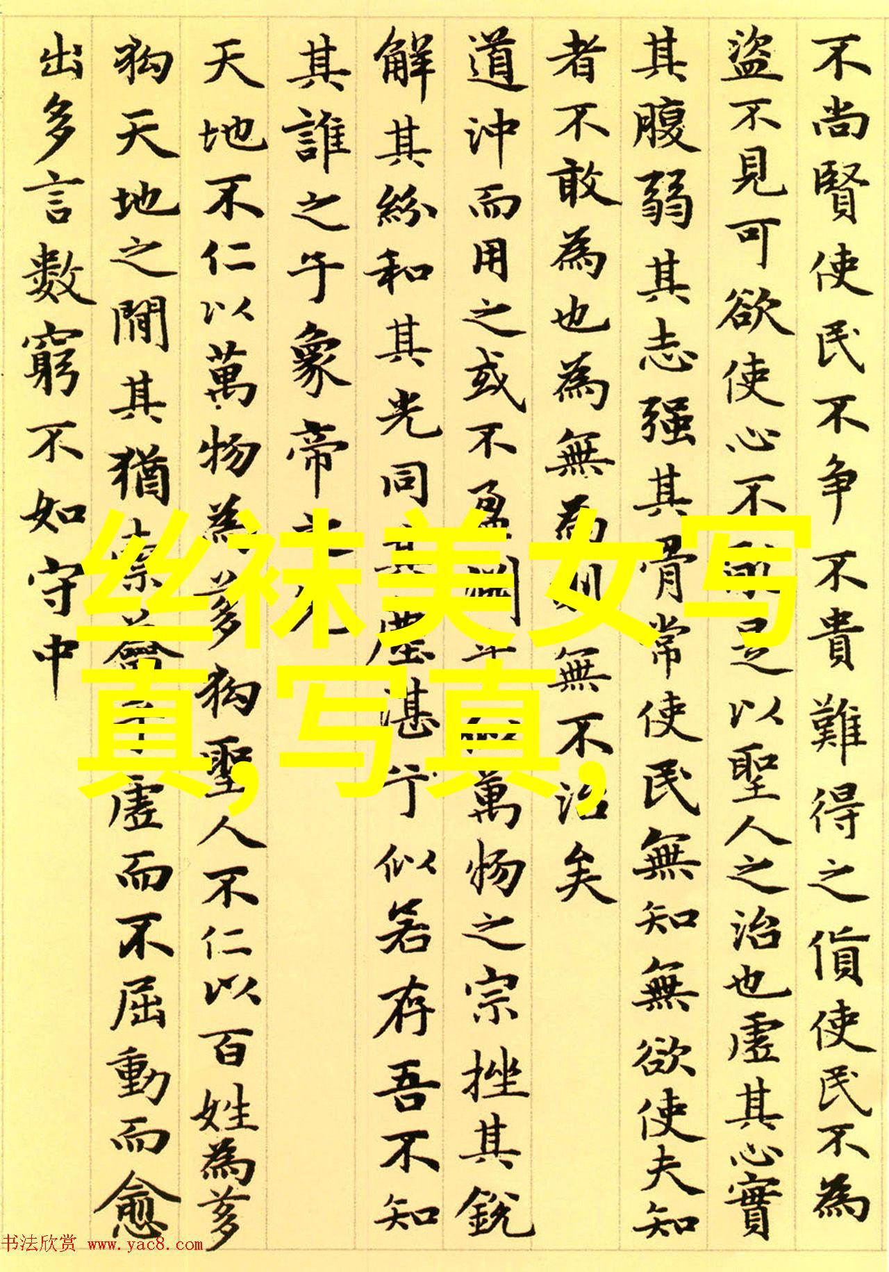 探索Pans写真镜头下的美丽与深度