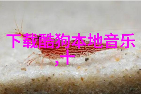 小电影的未来它能否取代传统大片