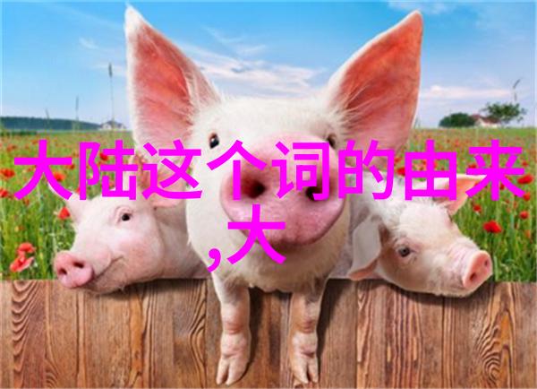 重生影后我的第二次登台