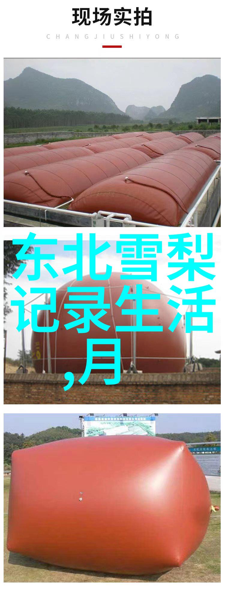 美丽的他小说TXT我心中的那片天他的故事