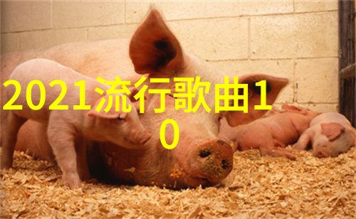 领证这一步骤对于这对新人来说意味着什么以及未来的家庭生活计划是什么样的