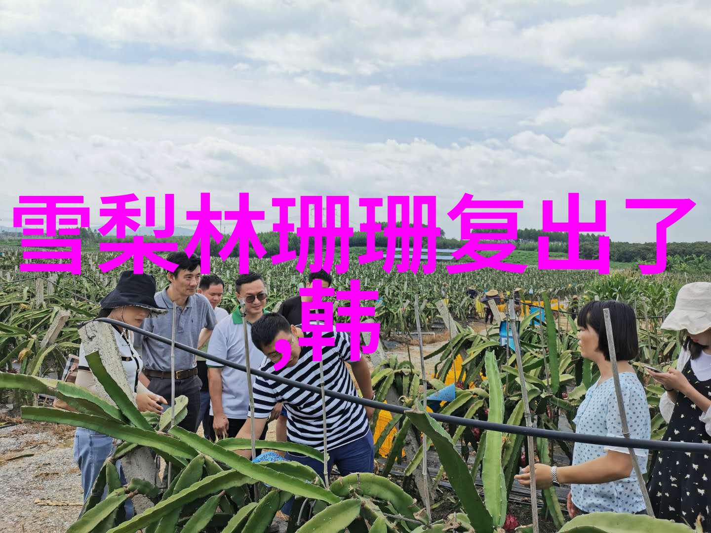 少女免费观看完整电视电影我来教你如何在网上找到好看又不花钱的影视资源