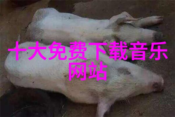 红毯上的亿万富翁与街头角落的明星