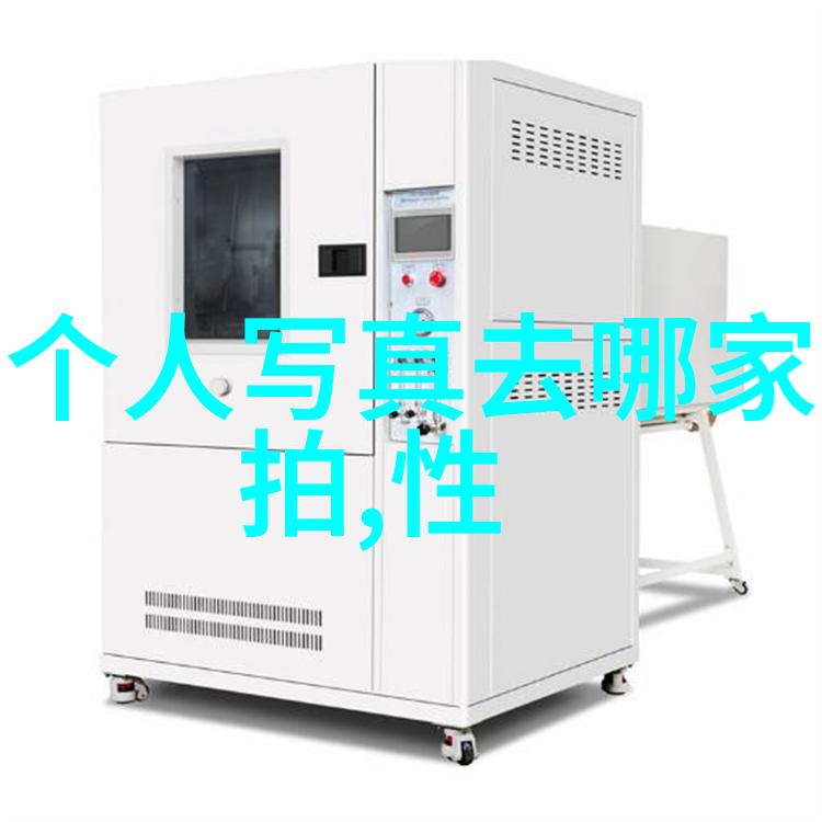 如何评估网红转型为明星的成功度