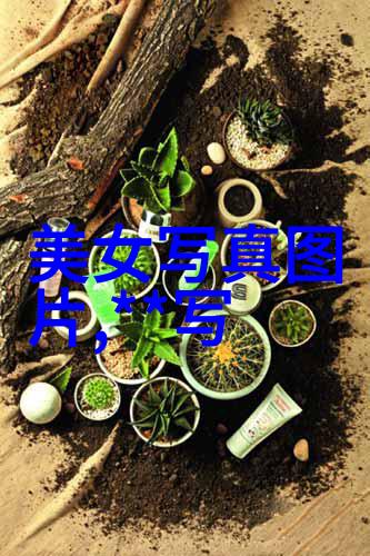 八卦口诀背诵技巧提升记忆力流畅读音
