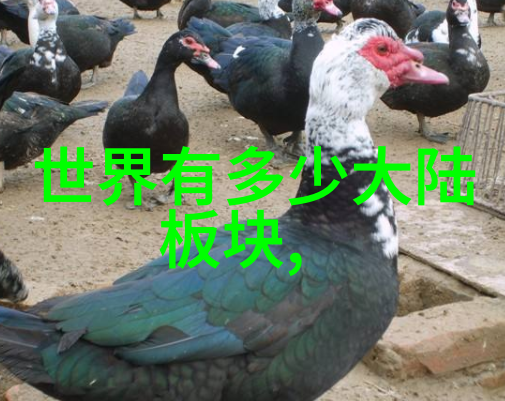 探索未知追寻11月22日所对应的星际传说
