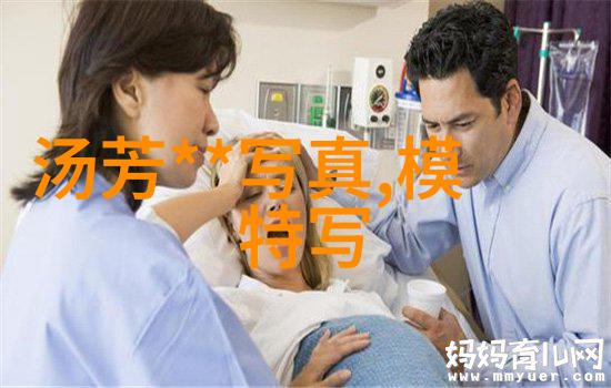 七英俊的成化体统