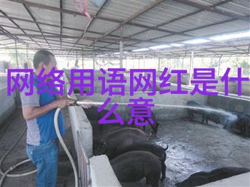 每日新歌速递任你追听免费使用酷狗音乐服务