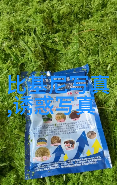 时尚-小时尚时刻打造你的独特风采