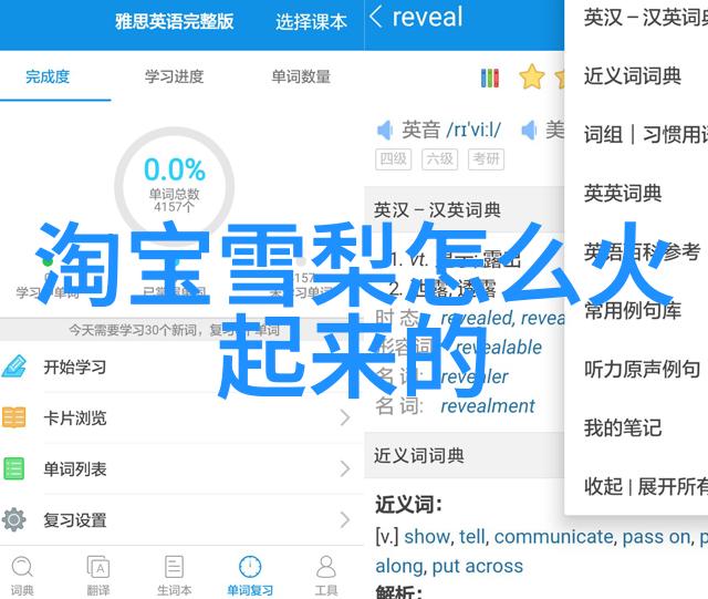 碧波荡漾阿拉伯联合酋长国沙丘下的蓝色海洋