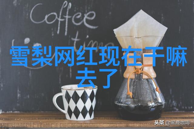 星光璀璨的梦想之旅