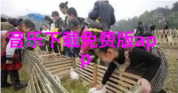 中国10大网红背后的秘密