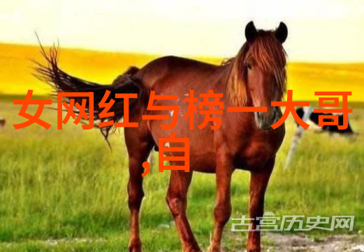 探秘人人影视精品剧集独家分享与社区互动的全方位娱乐体验