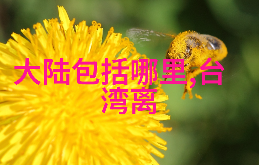 网红雪梨儿子有点傻-网红偶像背后的秘密雪梨儿子的傻瓜般一面