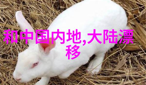 电影票房巨星的舞台与观众的选择