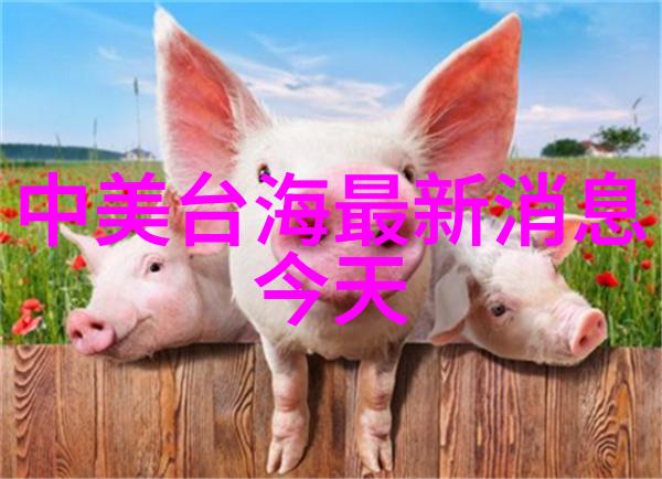 迫的爱人这部电影能教会我们什么关于爱情的真理
