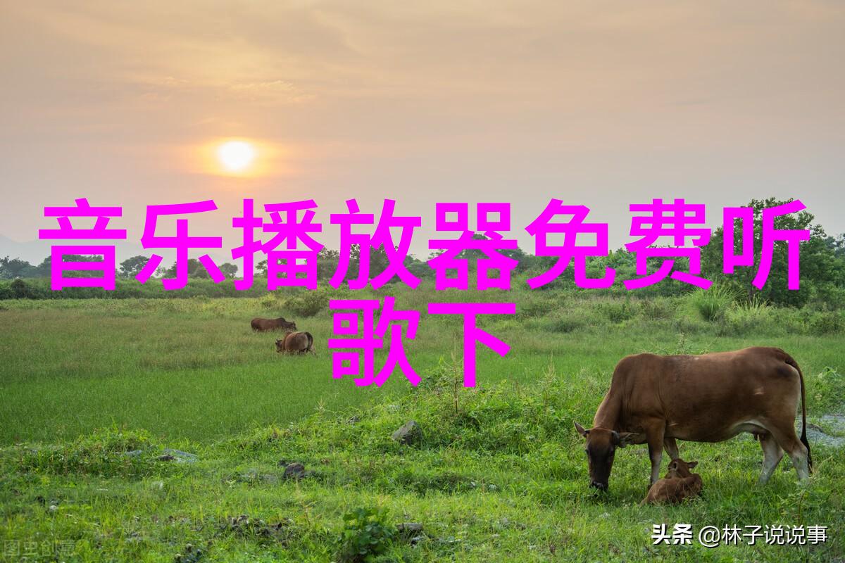 主角在追求真相的过程中遇到了哪些难以逾越的障碍