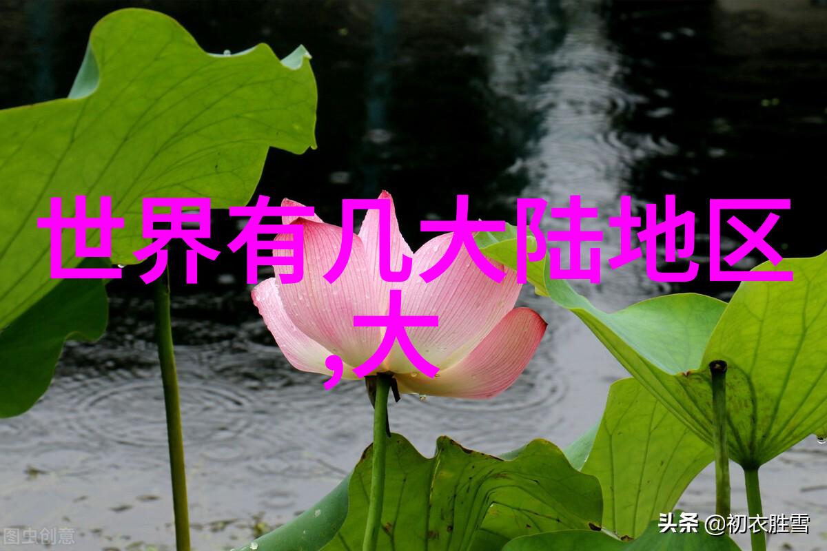 酷狗音乐版本大全下载手册