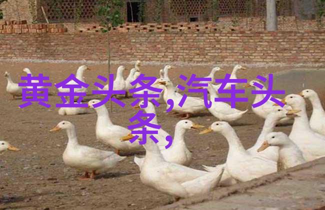 了不起舞社上演残酷突围赛苏有朋毕业寄言温情满满蹭出个综艺男神