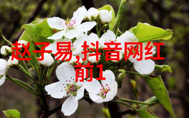 影视剪辑培训中心 - 剪映新境界探索高端影视剪辑艺术与技巧