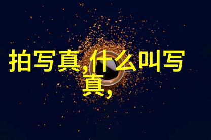 论日本成人综艺中的人文关怀和社会责任感