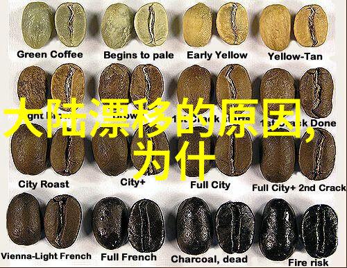 电影爱好者们的聚集地探索豆瓣影坛的魅力