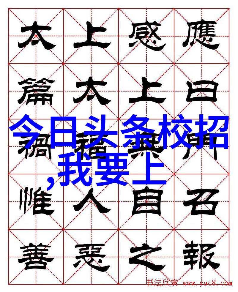 河南头条网揭秘当地新闻的力量与影响力