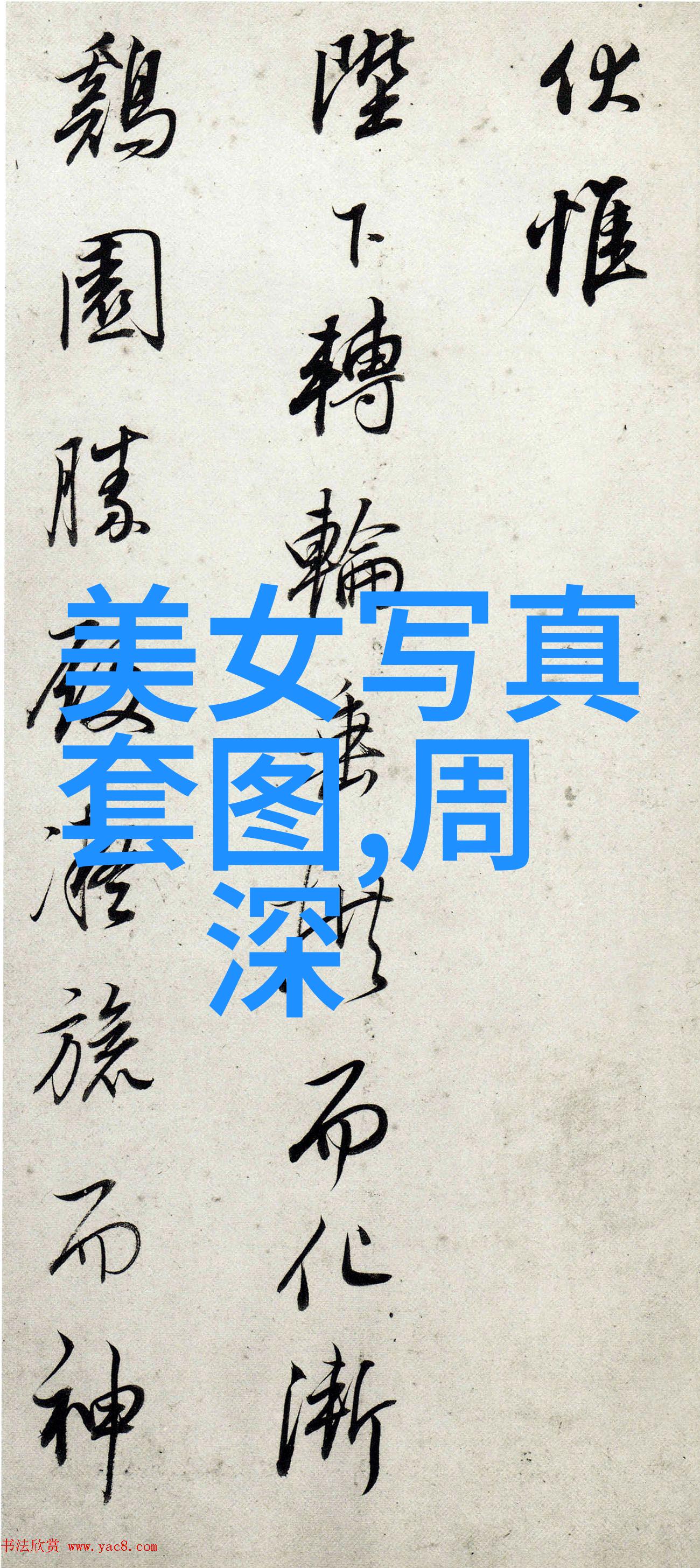 写真的艺术探索捕捉生活的真谛与美好
