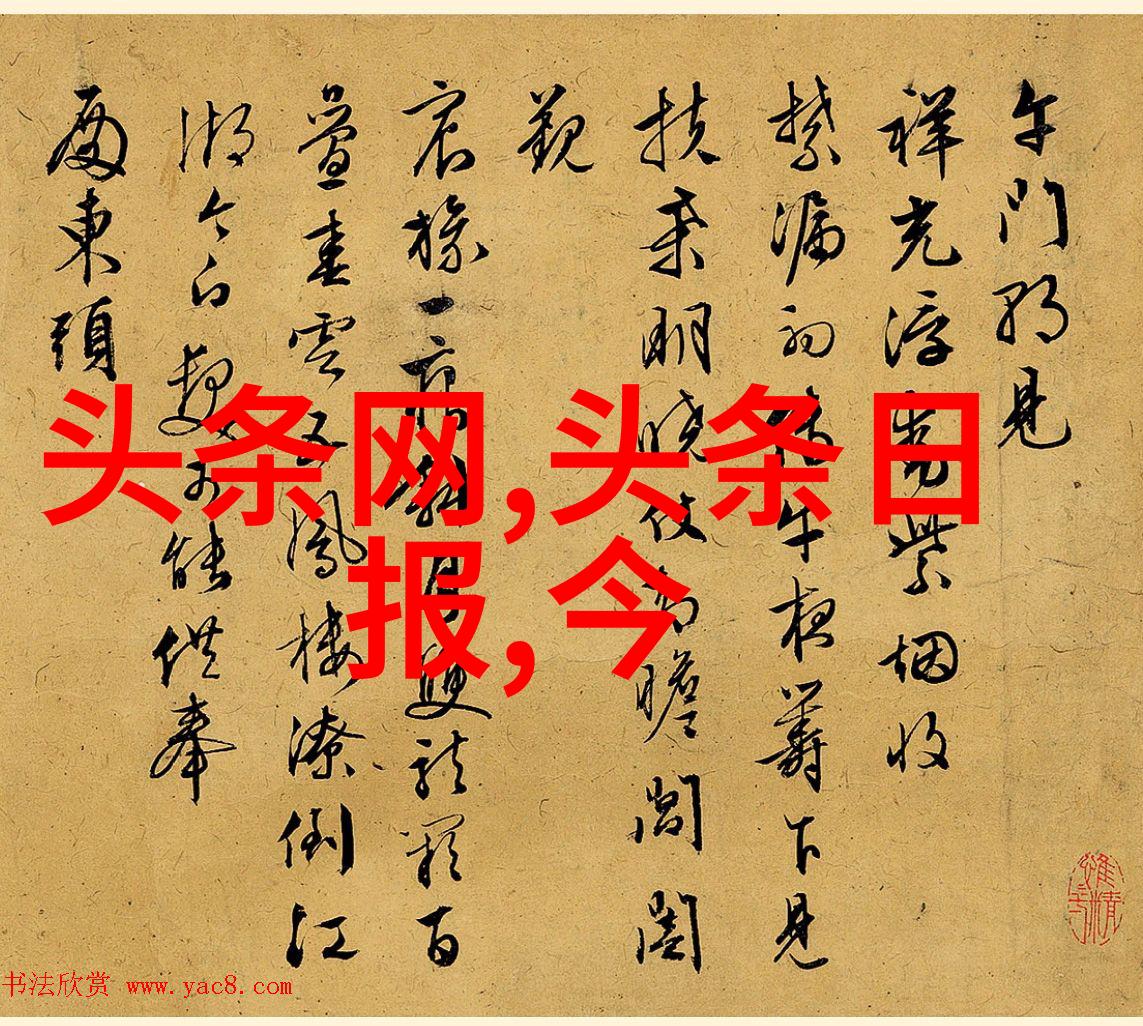 天罗地网的深远意义网络安全的坚固防线